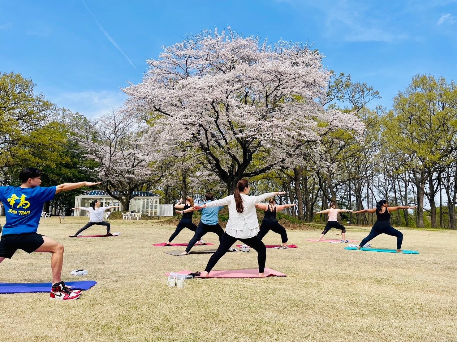 満開の桜の下で行われた屋外ヨガイベント